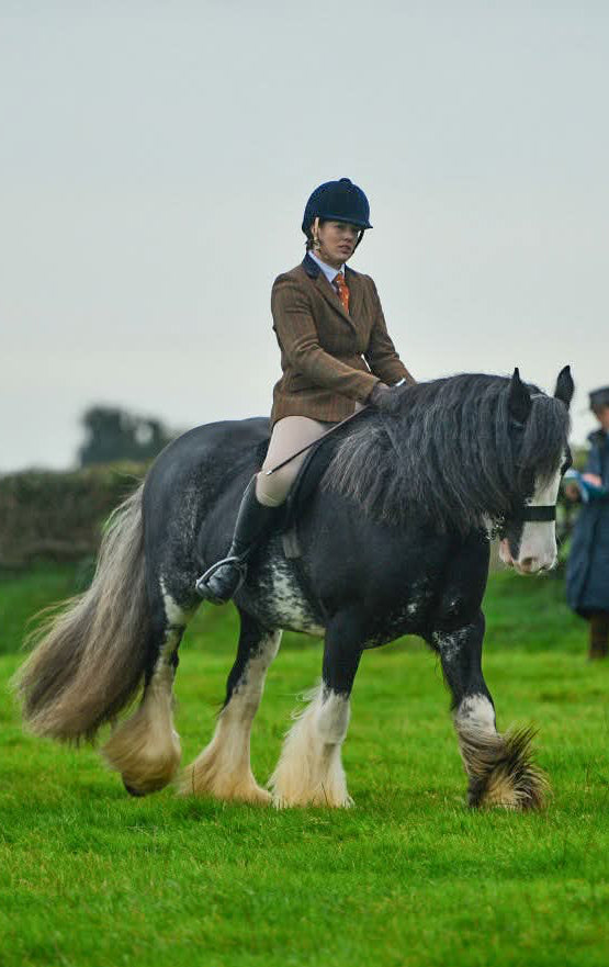 AeroFlex Show Breeches