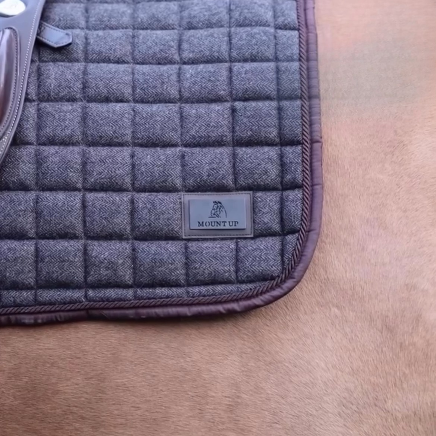 Chestnut Vale Tweed saddle pad