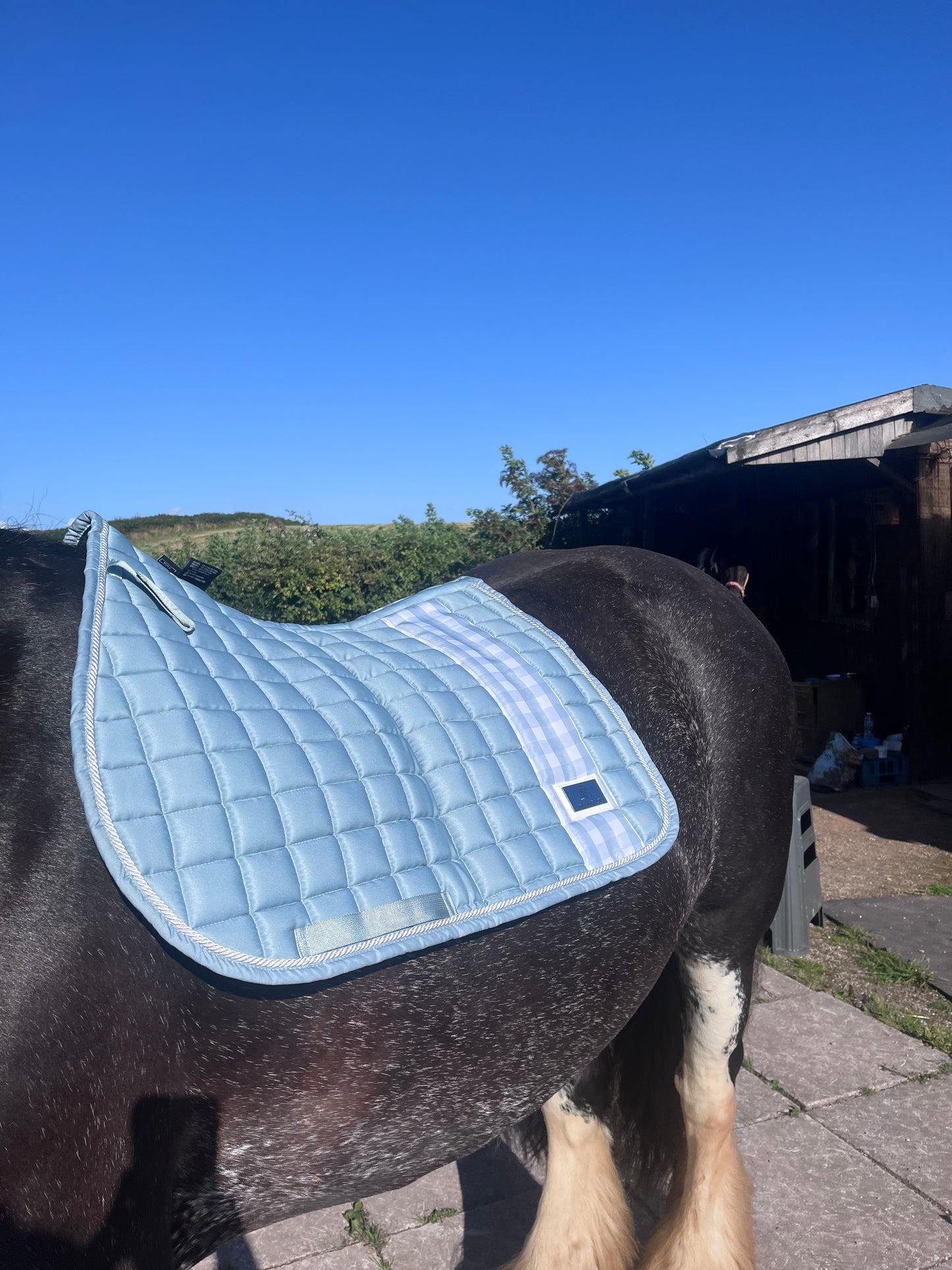 *PRE ORDER* Saddle pads and ears
