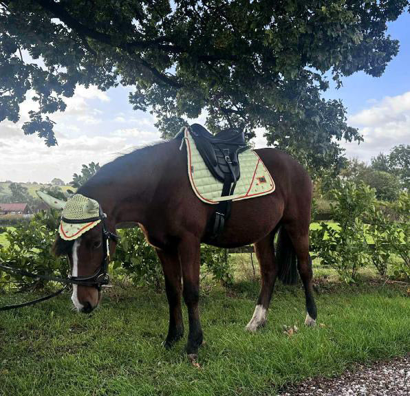 *Pre Order* Honey Bee Saddle Pad