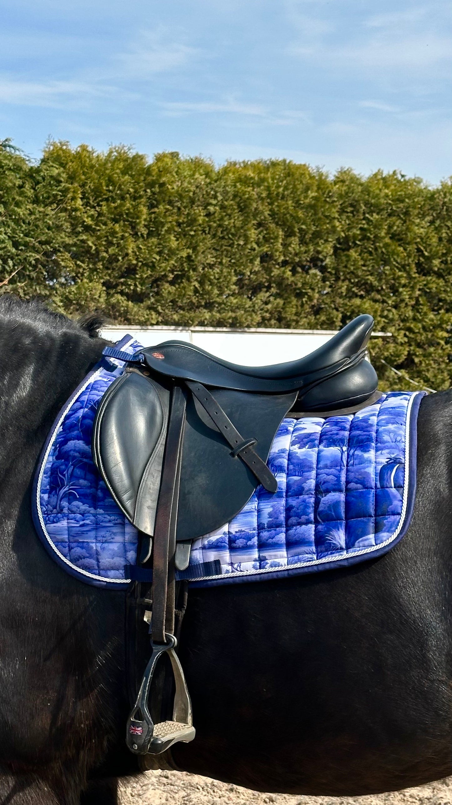 Vintage Day-Dreams Saddle Pad and Ear Set