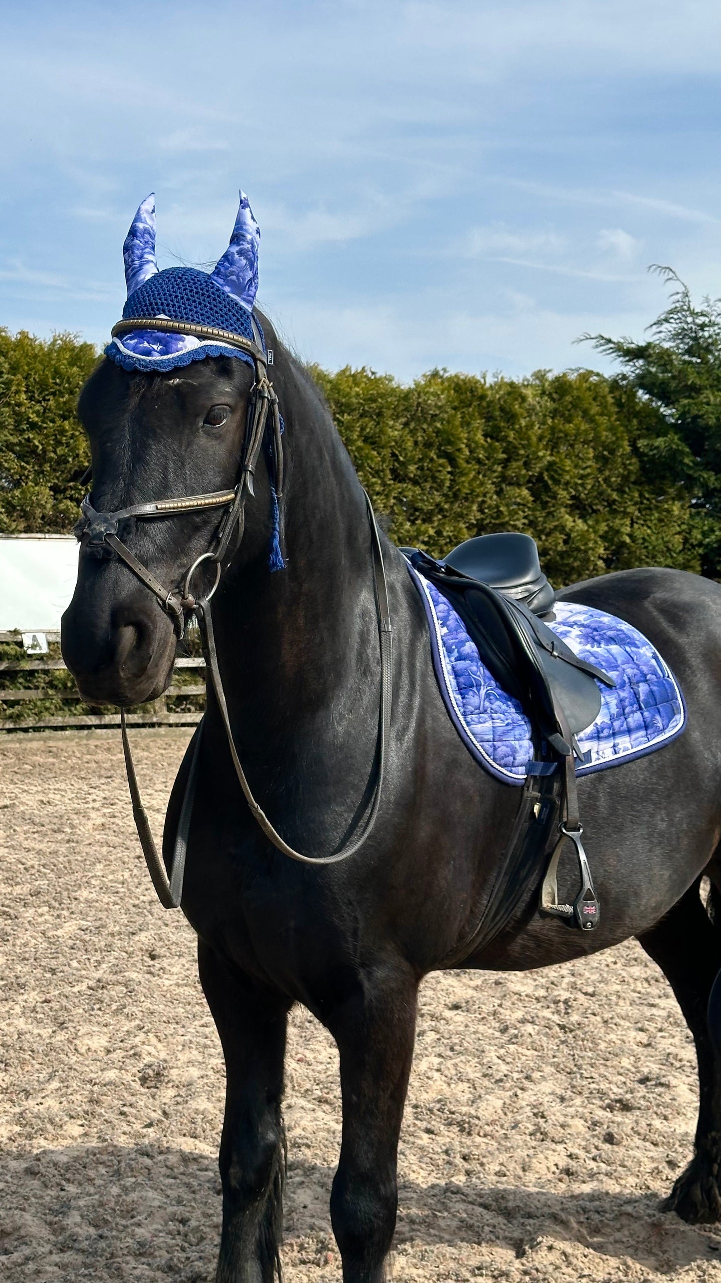 Vintage Day-Dreams Saddle Pad and Ear Set