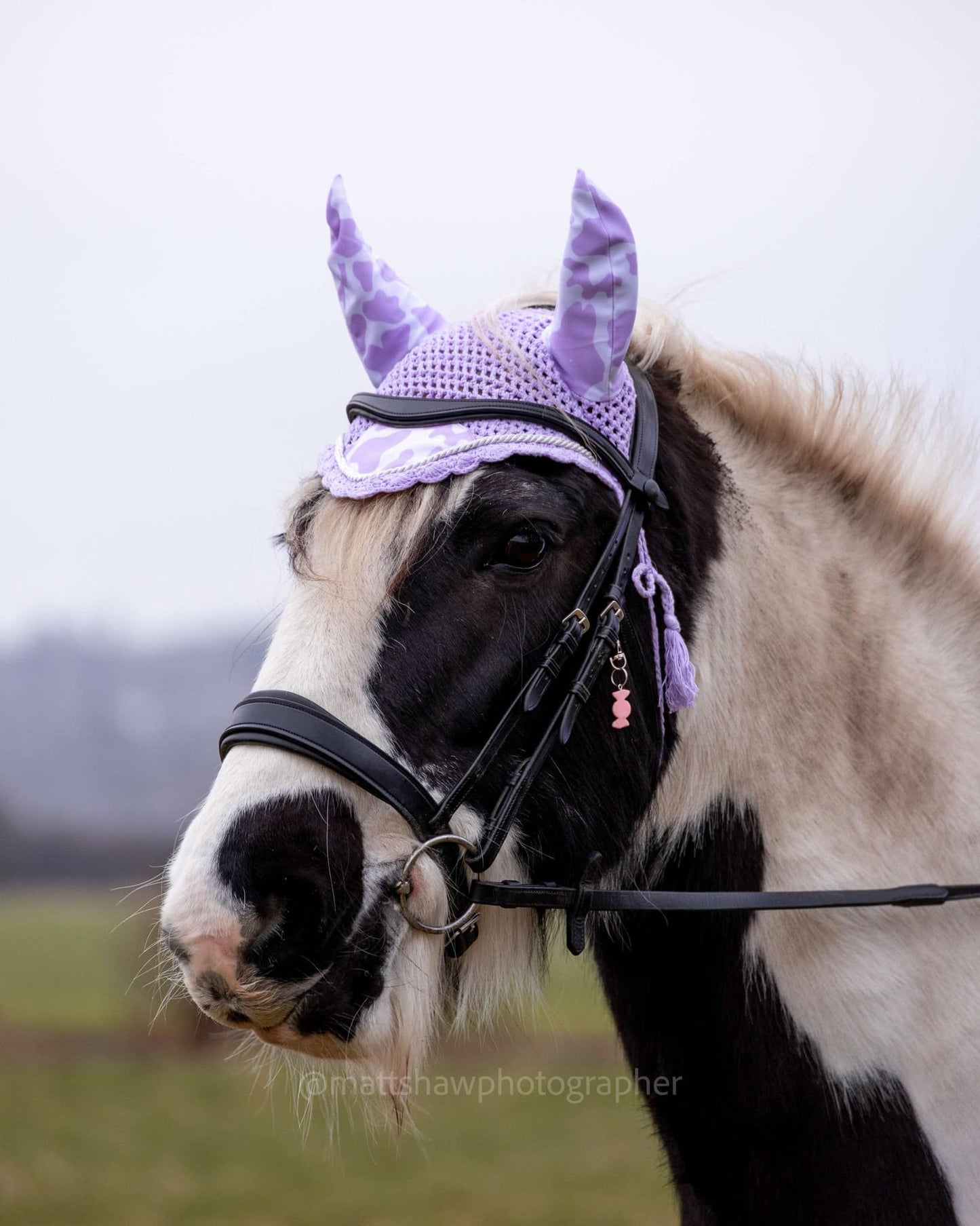Parma Violet Cow Print Saddle Pad and Ears image 1
