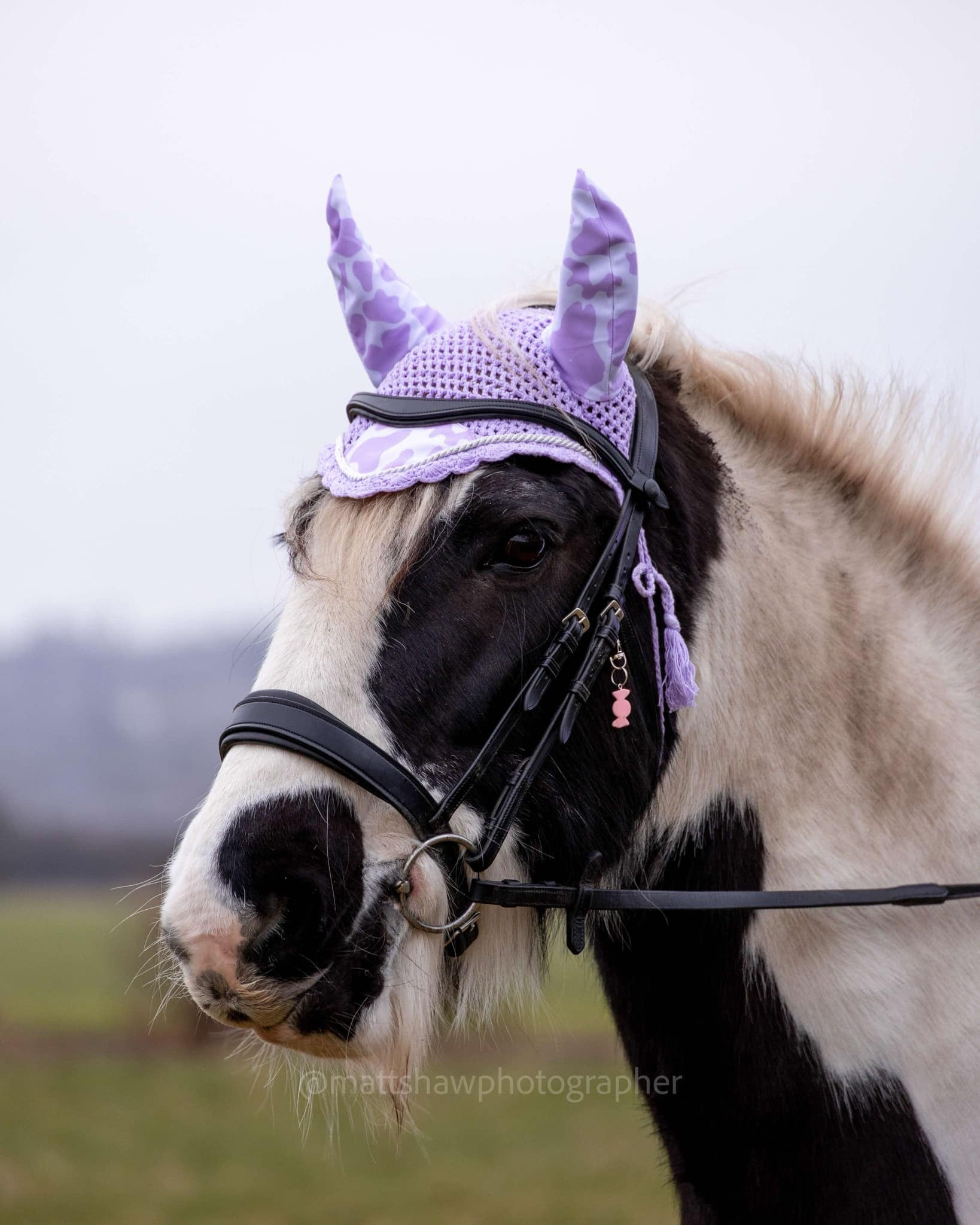 Parma Violet Cow Print Saddle Pad and Ears image 1