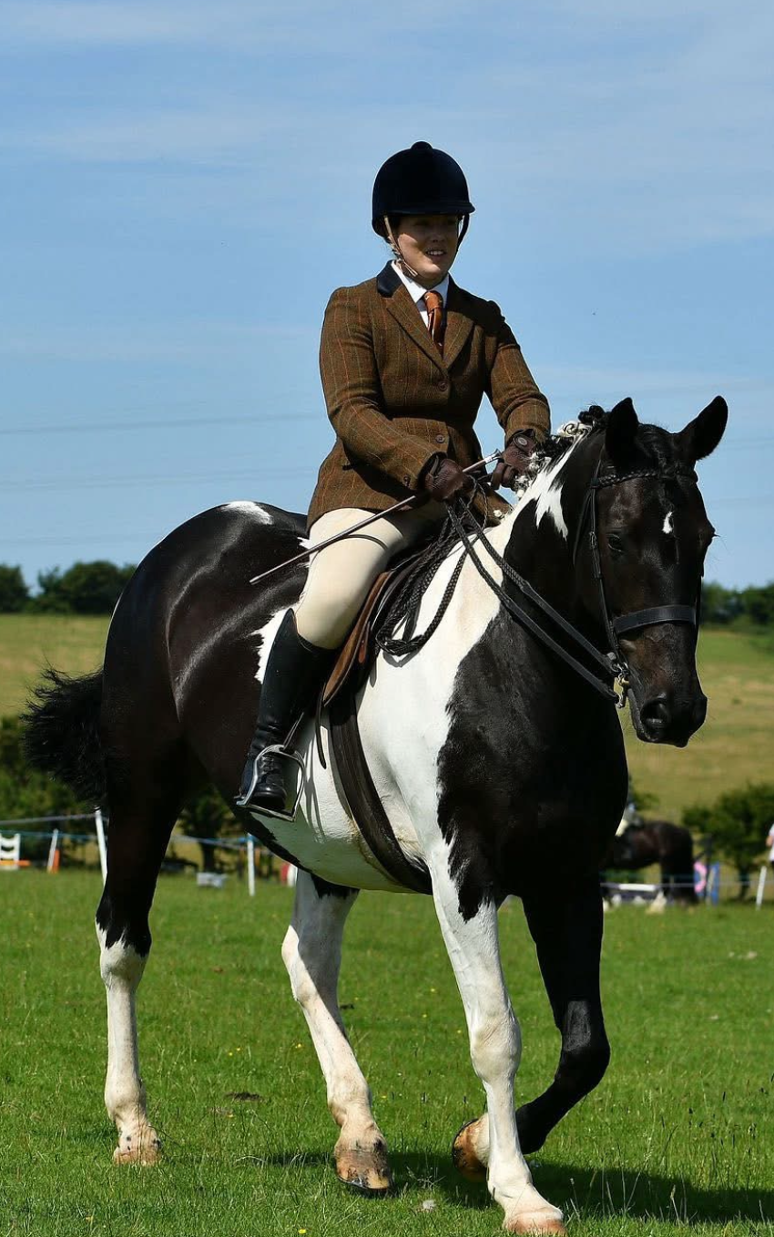 Show Bregging hybrid