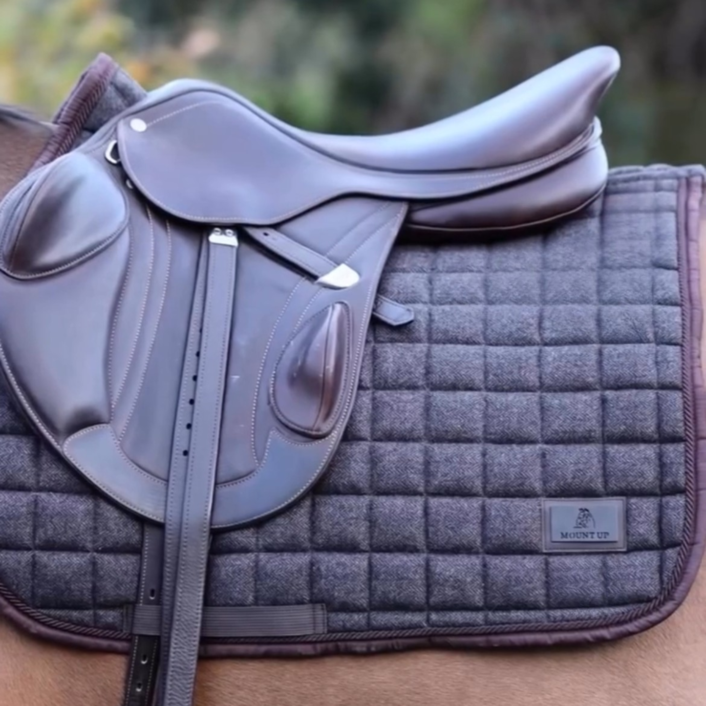 Chestnut Vale Tweed saddle pad
