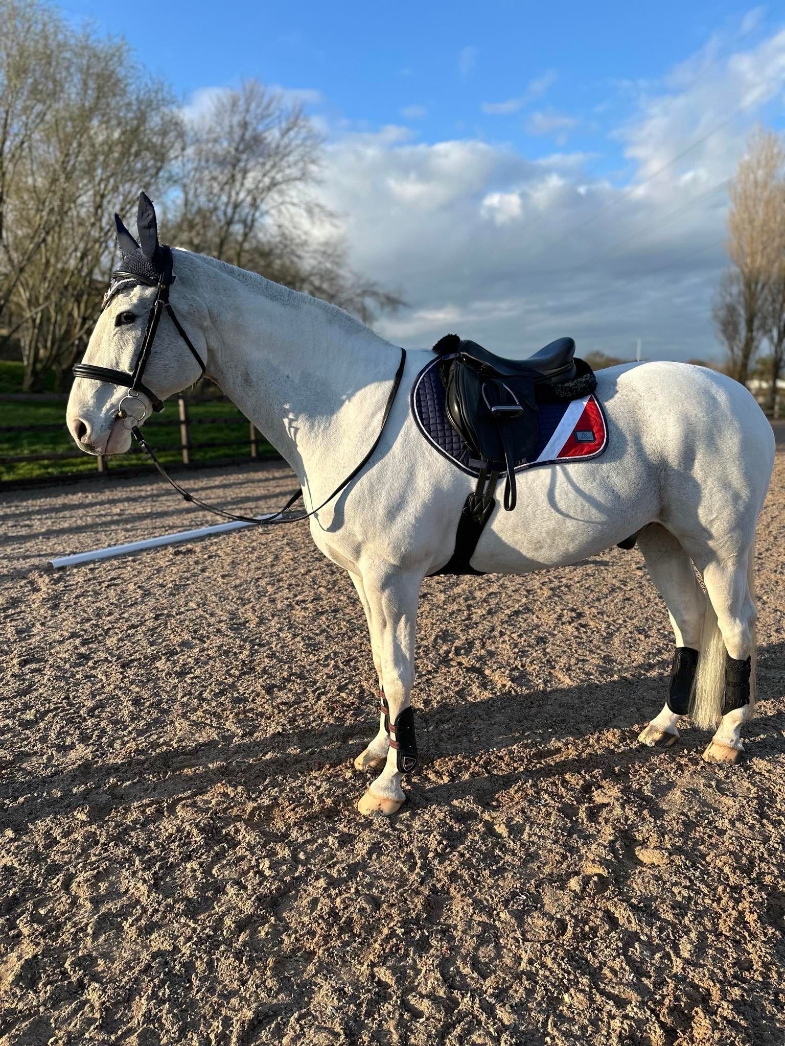 Elizabeth Navy/White/Red Saddle Pad and Ears image 6