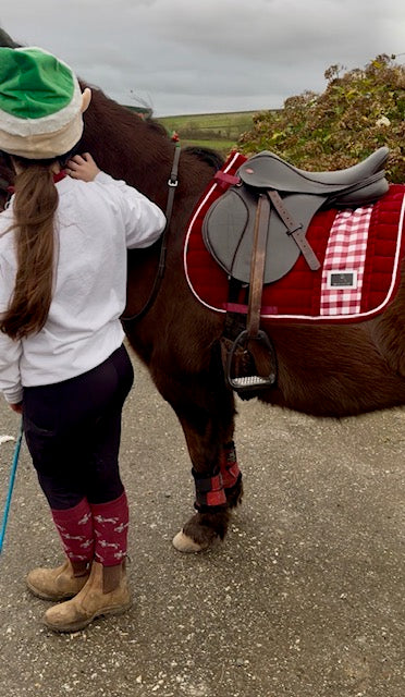 Limited Edition Rosehip Velvet Gingham saddle pad