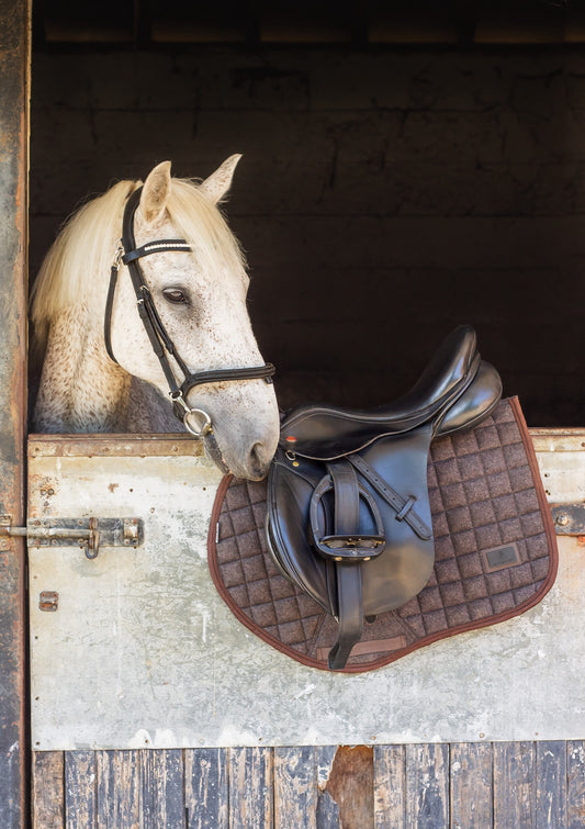 *PRE ORDER* Saddle pads