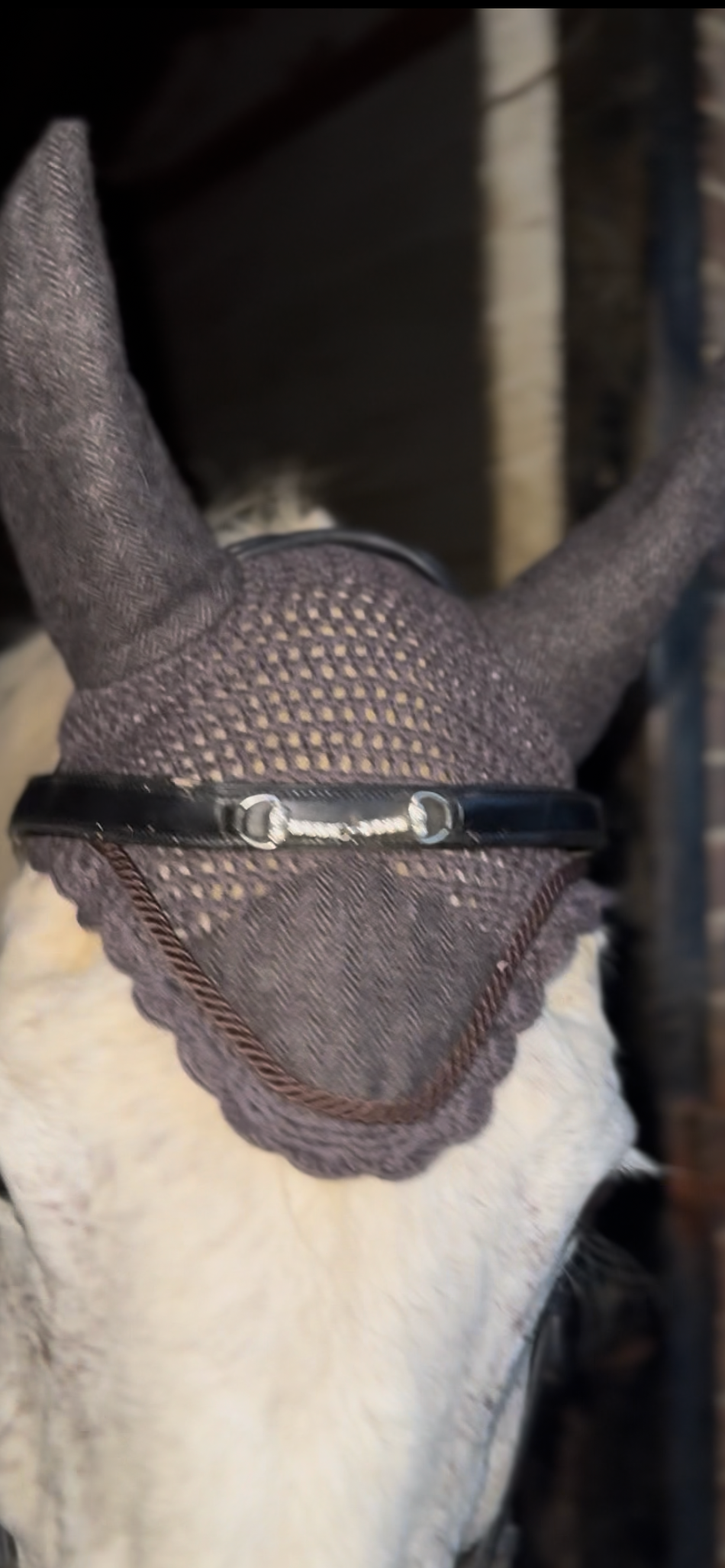 Chestnut Vale Tweed Ear Bonnet