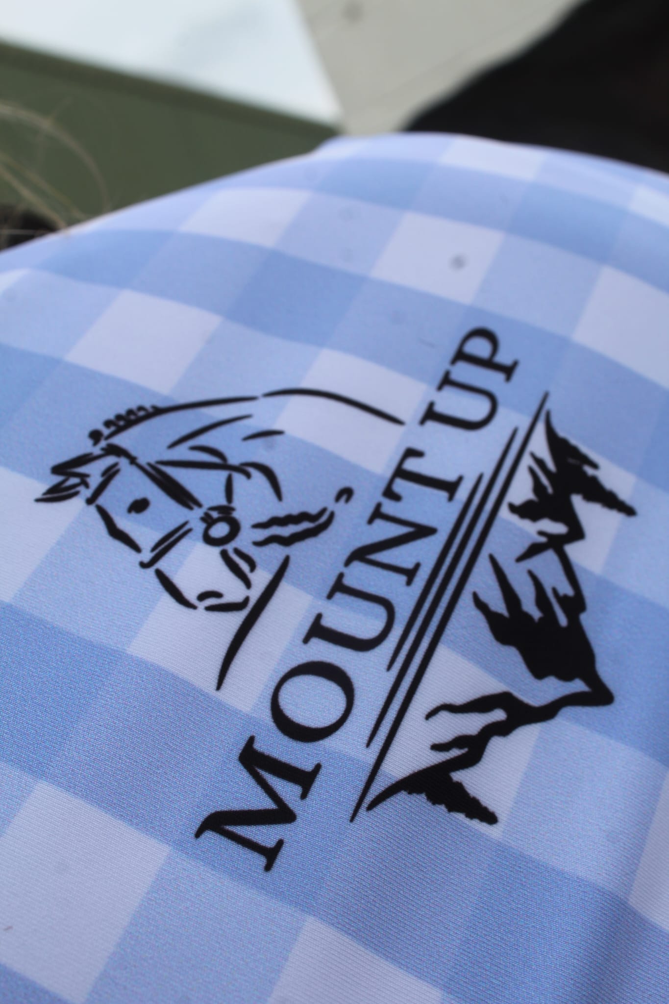 Gingham Bluebell technical base layer